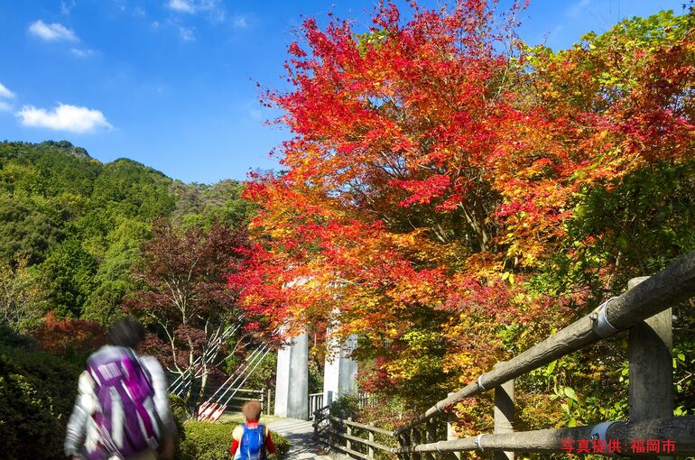 紅葉
