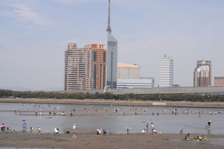 src_10568173